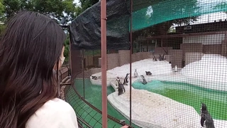 GVH-079 官能小説家と新卒美人編集者 宮沢ちはる
