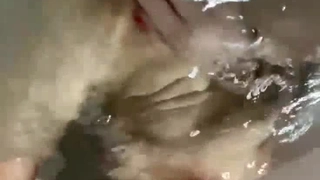 黑丝少妇居家