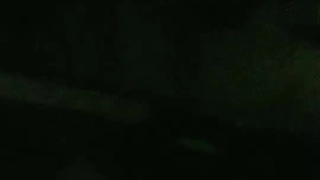 淫乱双飞大奶妹，交叉舌吻双女舔屌，骑乘抽插揉捏奶子